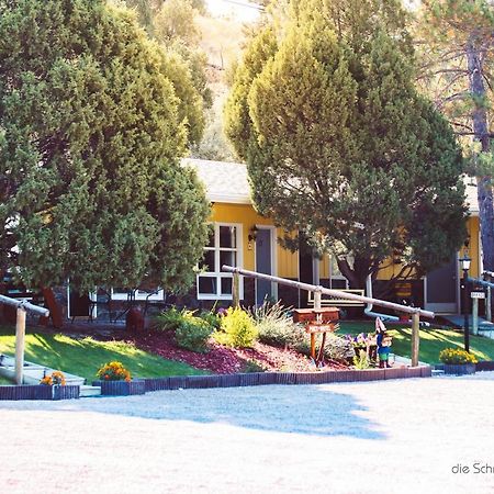 The Pines Country Inn Newcastle Exteriör bild